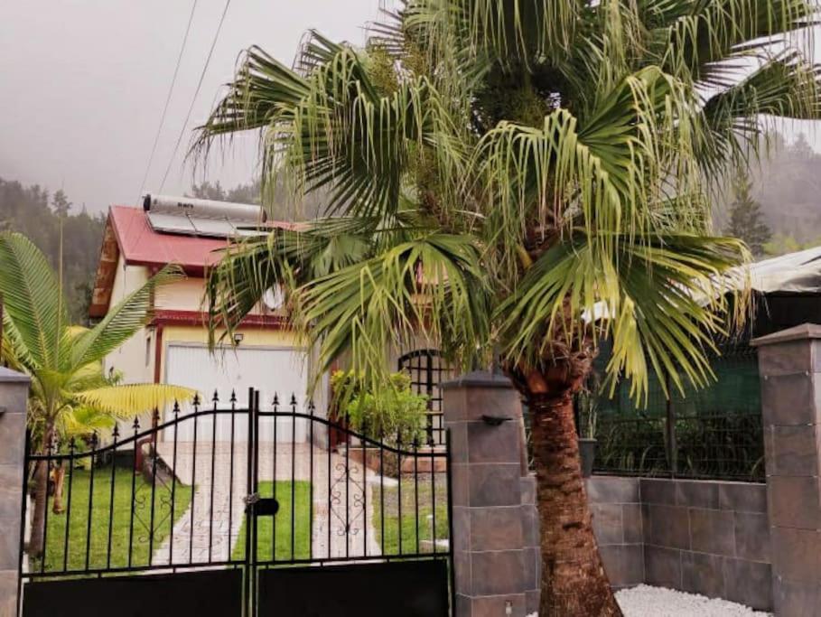 Charmante Maison Au Coeur Des 3 Montagnes ซาลาซี ภายนอก รูปภาพ